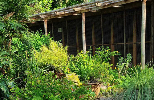 Accommodation for Small Pets 