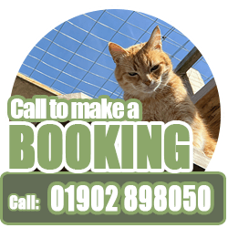 Cattery in Dudley